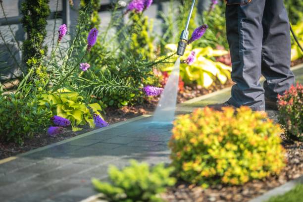 Best Restaurant Pressure Washing  in Thunderbolt, GA